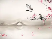 胡连会面